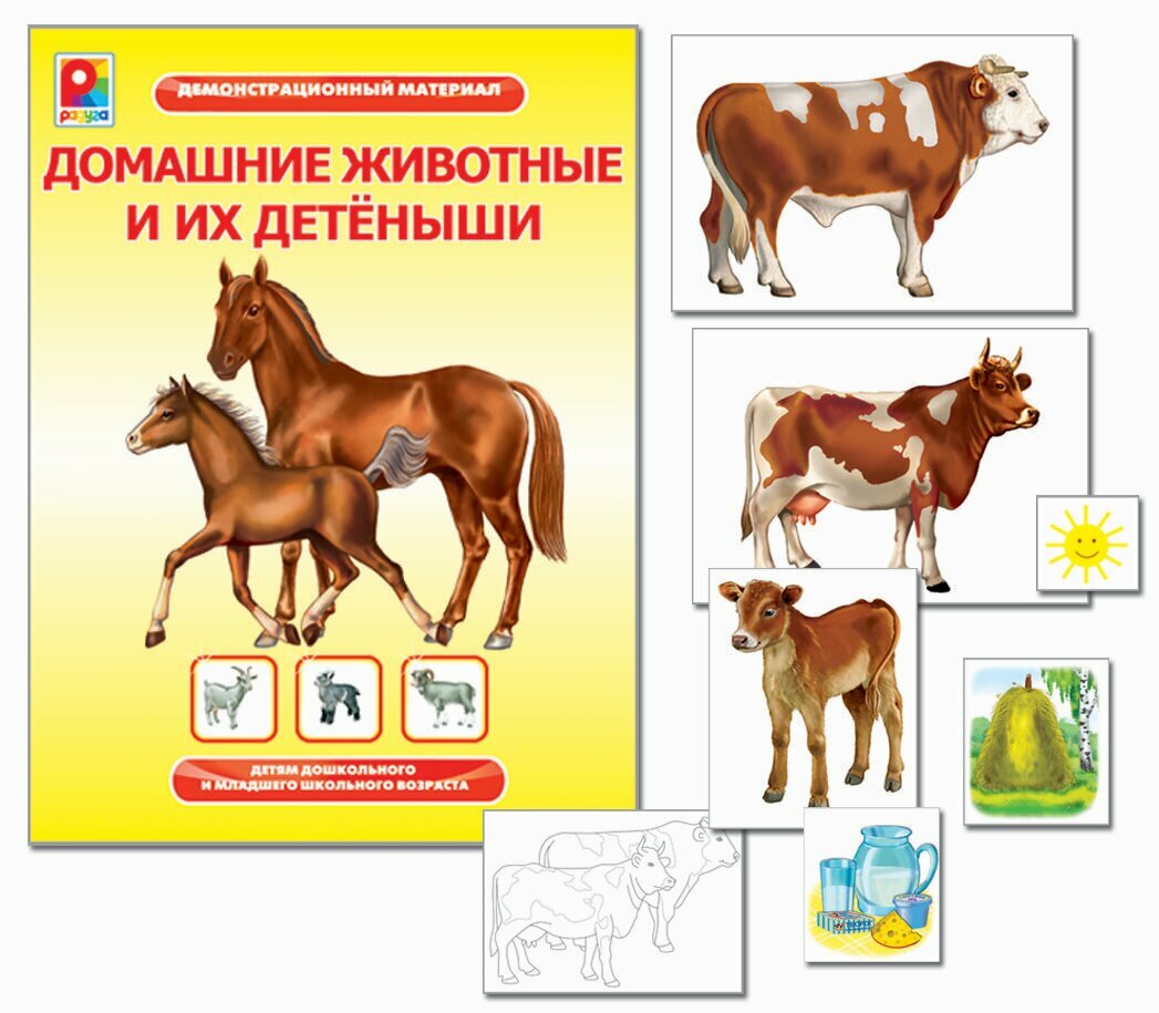 Демонстрационный материал "Домашние животные и их детёныши". Карточки обучающие