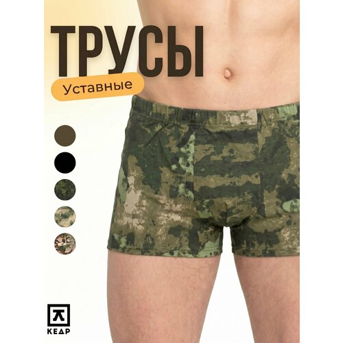 фото Трусы , размер 54, зеленый