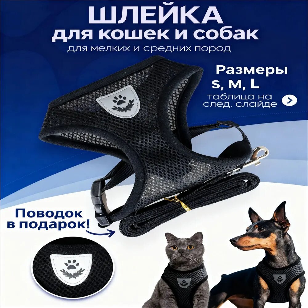 Анатомическая шлейка с поводком 1.2 м для собак мелких и средних пород, качественный аксессуар
