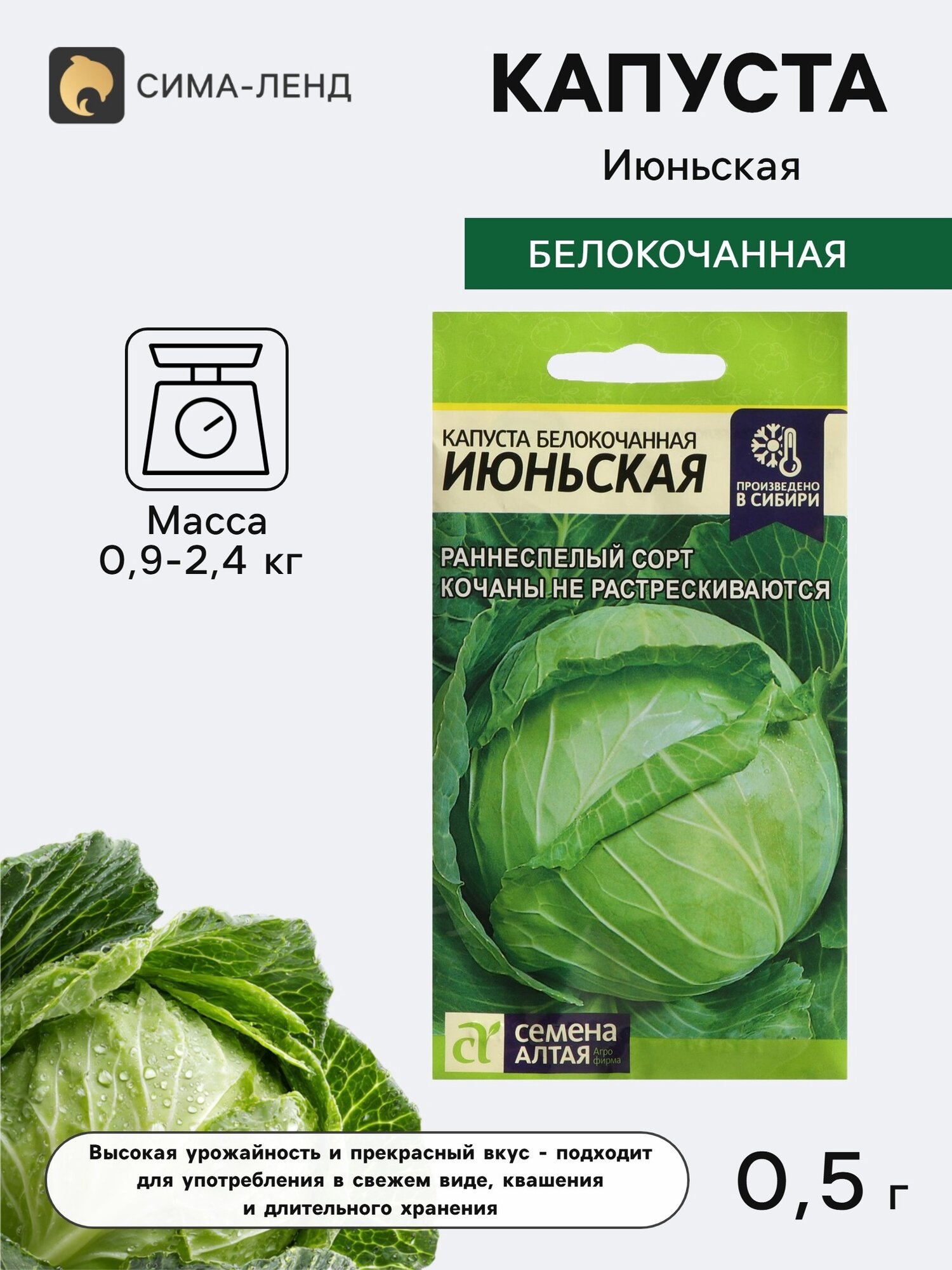 Семена Капуста белокочанная Июньская. 6 упаковок