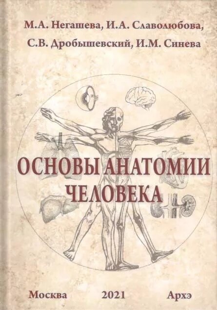 Основы анатомии человека