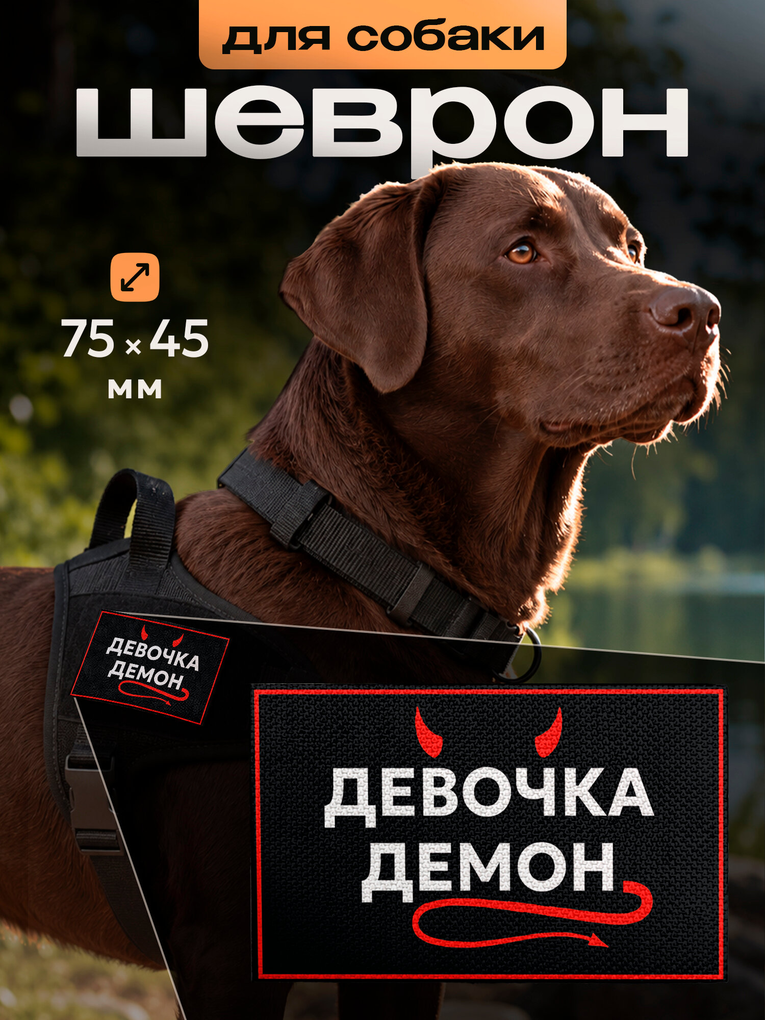 Шеврон IREVIVE, Девочка демон , на липучке, для формы, военному