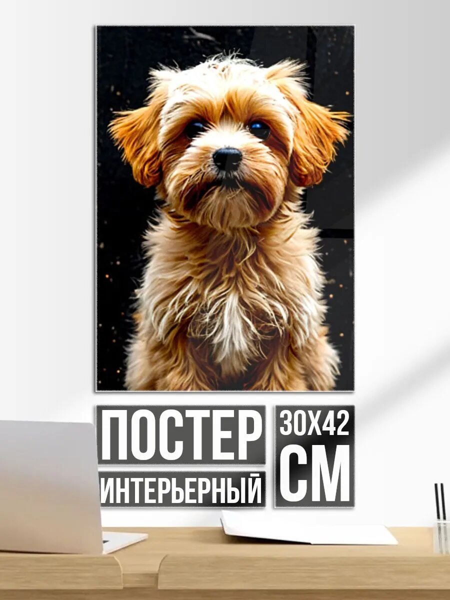Постер на стену Мальтипу на черном