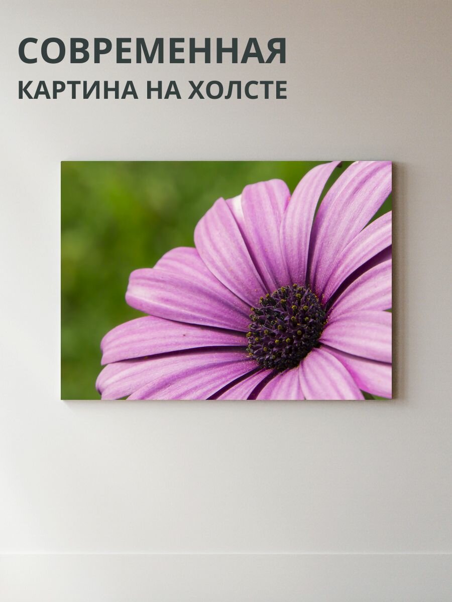 Картина на холсте Цветы 70x50 см