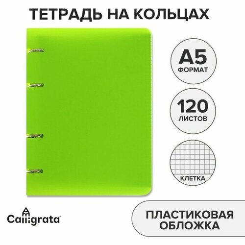 Тетрадь на кольцах A5 120 листов в клетку Calligrata Салатовая, пластиковая обложка, блок офсет