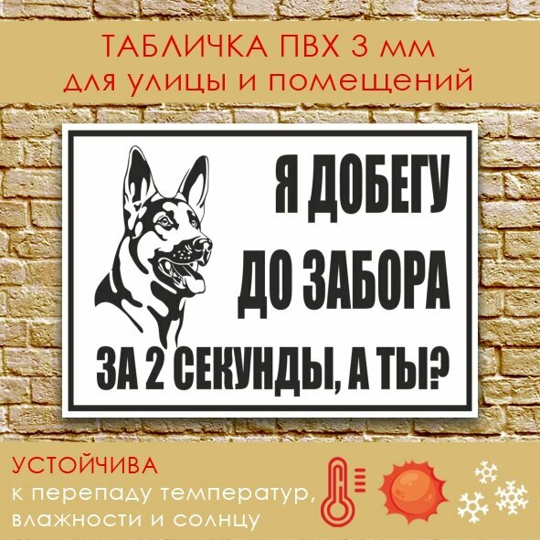 Информационная табличка из ПВХ "Во дворе злая собака" 210х300 мм