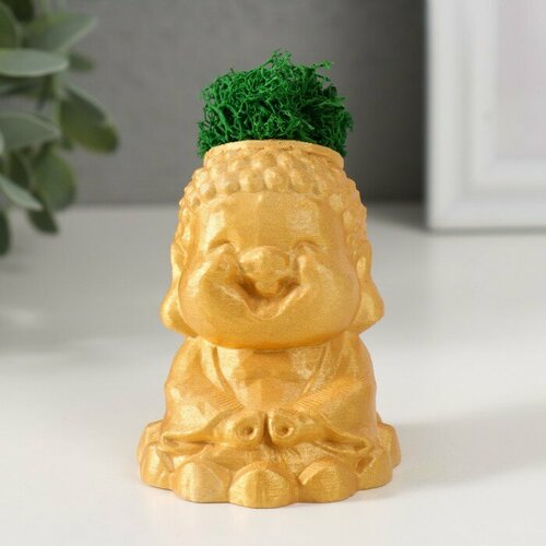 Кашпо бетонное Будда 55х65х7см золотой со мхом мох зеленый стабилизированный 492₽