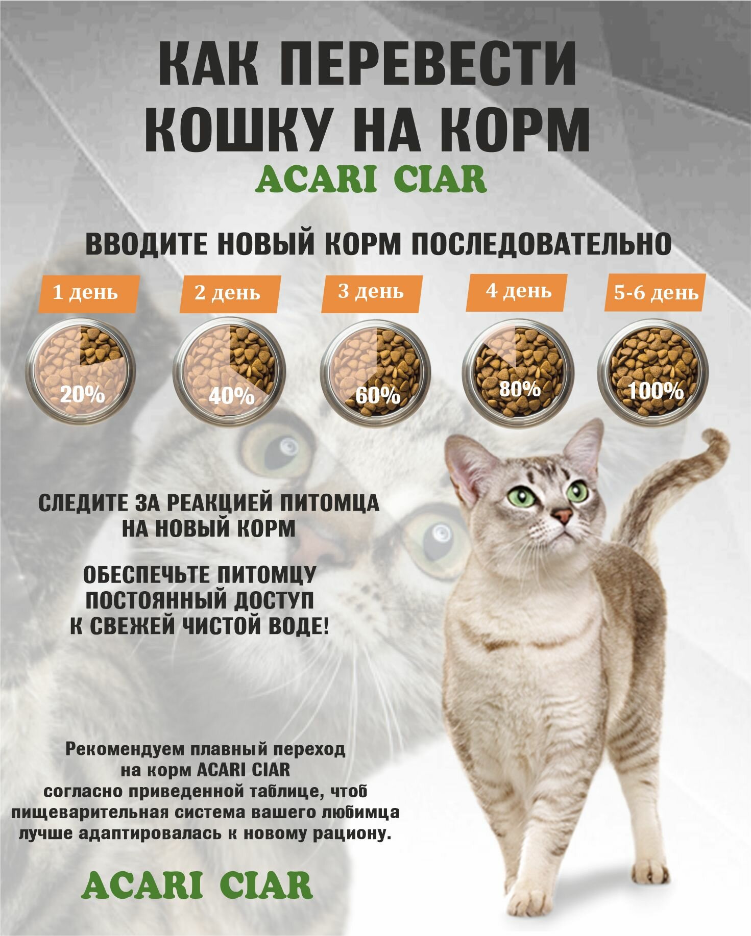 Сухой корм для кошек Acari Ciar Vet A Cat Turkey Holistic Sterilized 0,4 кг мини гранула — фото 1