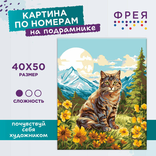 фото Картина по номерам "фрея" с холстом на подрамнике 50 х 40 см pnb/pl-251 "кот на природе"