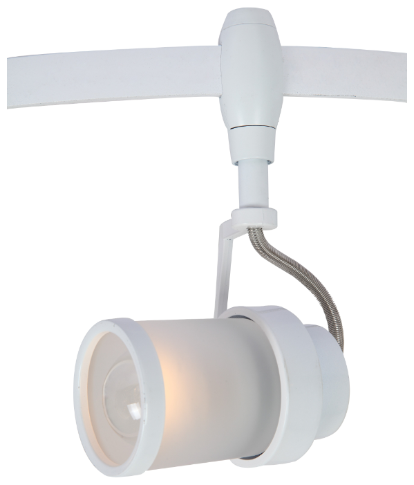 Светильник потолочный Arte Lamp A3056PL-1WH