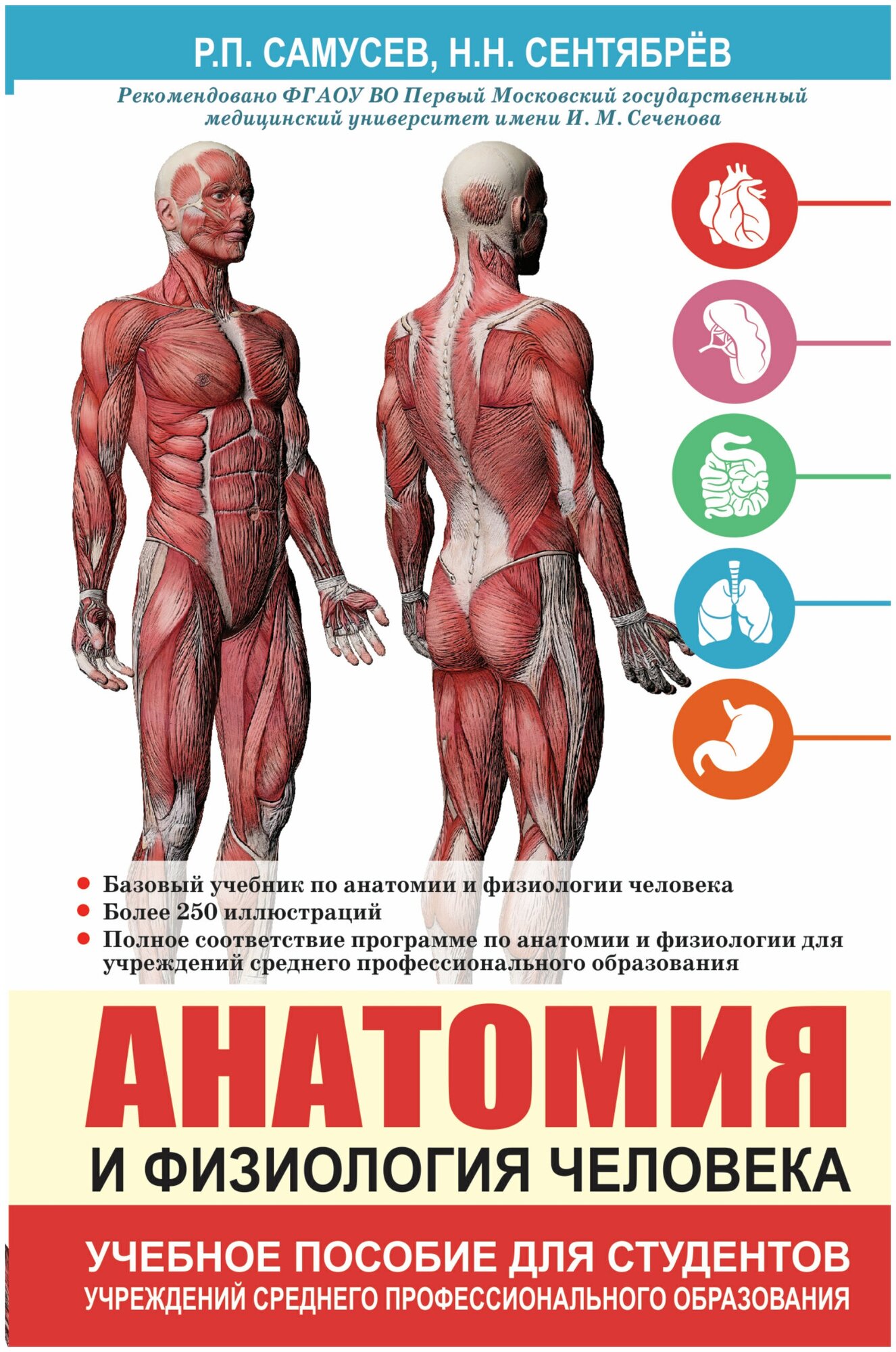 "Анатомия и физиология человека. Учебное пособие для студентов учреждений среднего профессионального образования"Самусев Р. П, Сентябрев Н. Н.