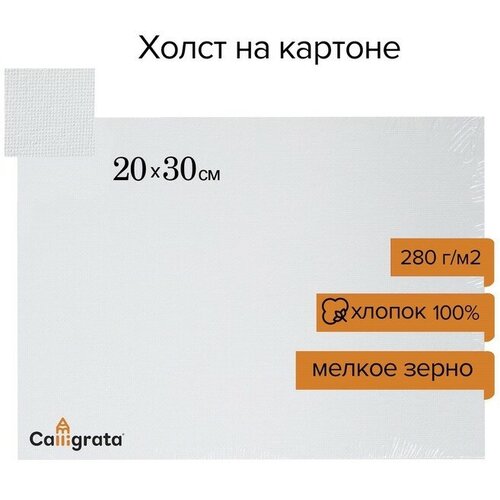 Холст на картоне , хлопок 100%, 20 х 30 см, 3 мм, акриловый грунт, мелкое зерно, 280 г/м2