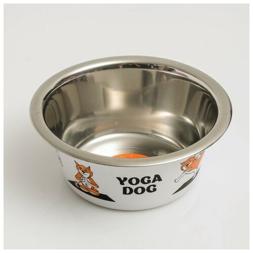 Миска Пижон. Yoga Dog, стандартная , 450 мл ТероПром 4491816 миска пижон стандартная yoga dog для собак 450 мл синий 0 45 л 1 6 см