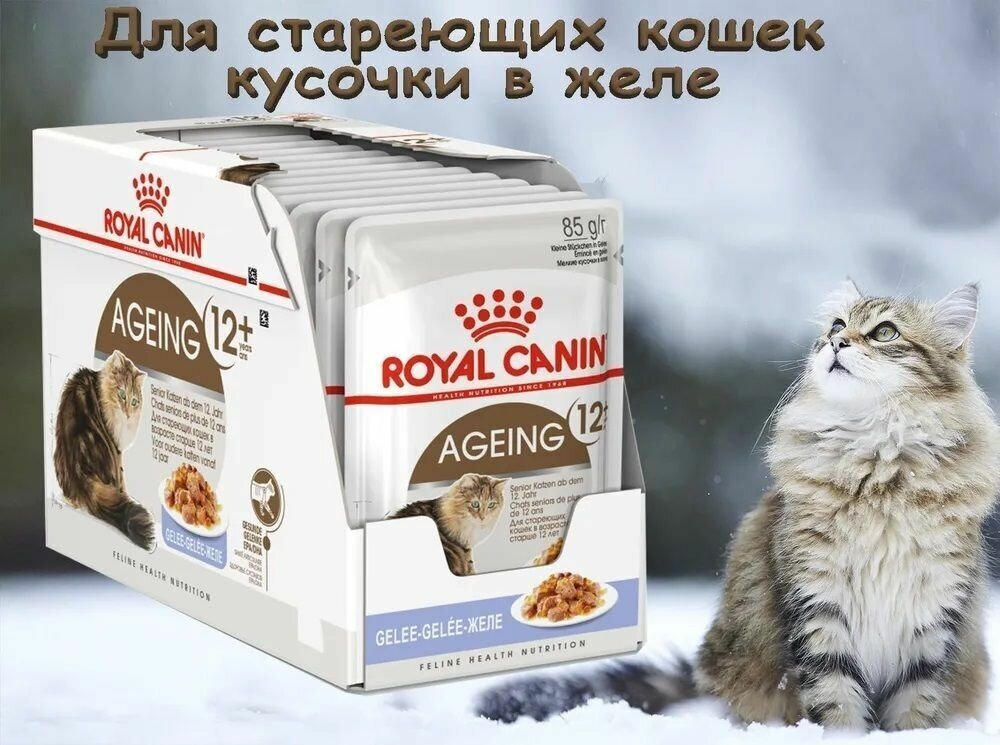 Корм для кошек ROYAL CANIN - фото №4