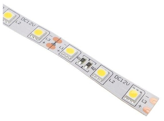 Светодиодная лента Ecola PRO 1 м, IP20, SMD5050, 60 LED/м, 14.4 Вт/м, 12 В, 4200К - фотография № 3