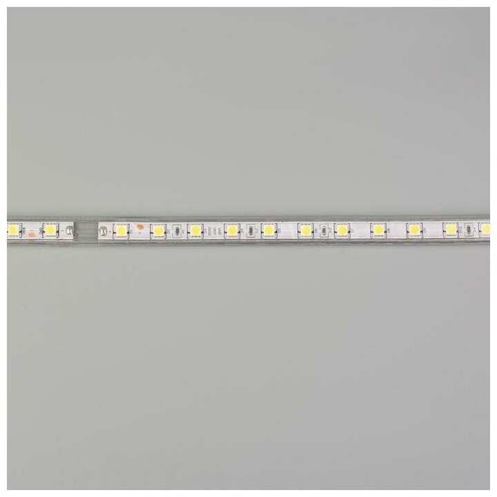 Светодиодная лента Ecola STD, 220В, SMD5050, 50 м, IP68, 14.4Вт/м, 60 LED/м, 6000К - фотография № 5