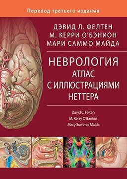 Неврология. Атлас с иллюстрациями Неттера - фото №2