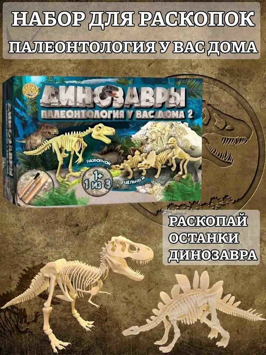 Раскопки для детей Динозавры