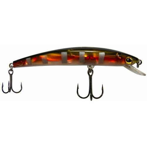 Воблер RUBICON Fast Minnow F, 110мм, 7.5гр, заглубление 1-1,2m, D11