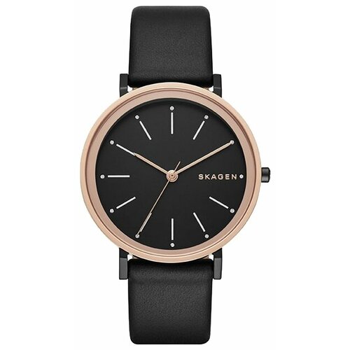 Наручные часы Skagen SKW2490