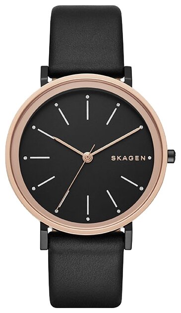 Наручные часы Skagen SKW2490