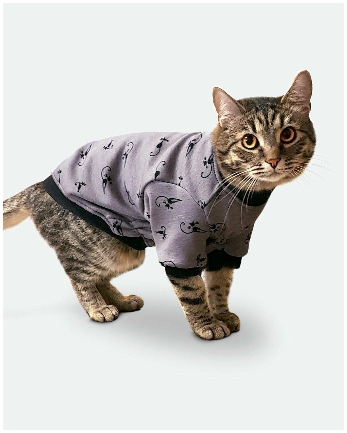 Толстовка одежда для кошек и котов сфинкс "Лиловый кот" - фотография № 3