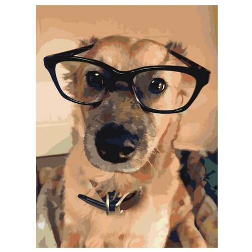 Собака в очках Раскраска картина по номерам на холсте