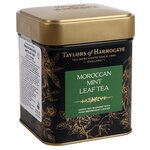 Чай зеленый Taylors of Harrogate Moroccan Mint - изображение