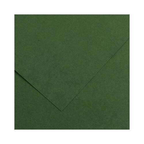 Canson Бумага цветная Iris Vivaldi 120г/м2, A4, №31 Зеленый еловый, 100л пачка