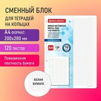 Сменный блок для тетради на кольцах большой формат А4 120 л, BRAUBERG, повышенной плотности, белый, 404516