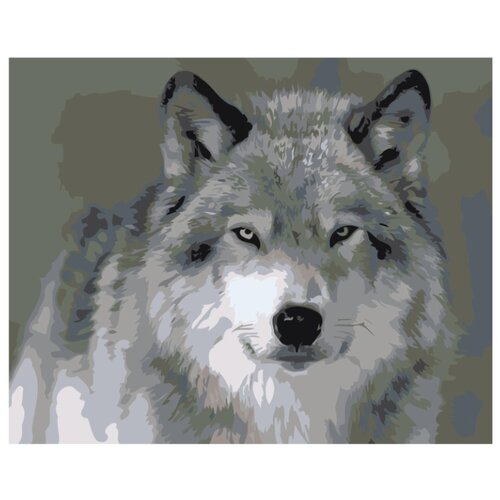 Северный волк Раскраска картина по номерам на холсте