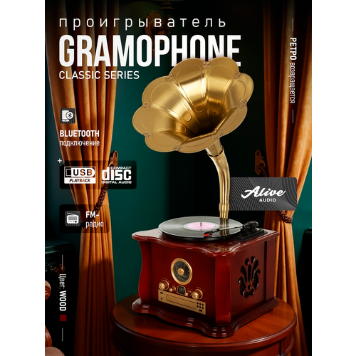 фото Виниловый проигрыватель alive audio gramophone wood (набор 2в1)