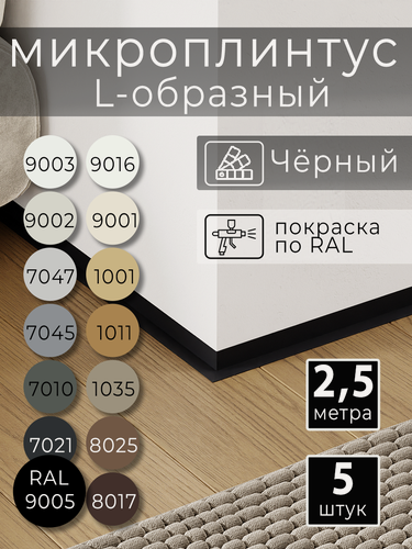 Изображение товара Микроплинтус L-образный с пружинами Чёрный RAL 9005 (2,5 метра)