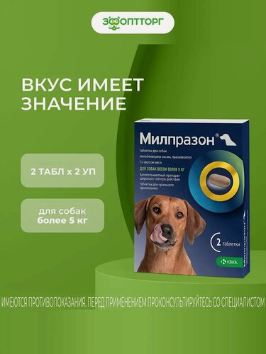 Изображение товара Милпразон антигельминтный препарат для собак более 5 кг 2 таб, 125 мг. упаковка 2 шт