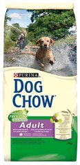 Корма для собак Eukanuba или Корма для собак DOG CHOW — какие лучше