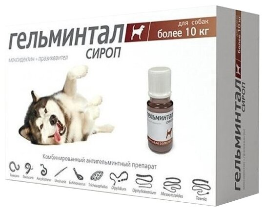 Neoterica Cироп для собак более 10 кг,10 мл
