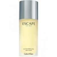 Calvin klein escape 100ml cheap price