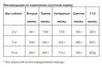 Корм для собак Animonda Vom Feinsten Junior для щенков и юниоров с говядиной и печенью птицы (0.15 к