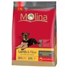 Корм для собак Molina Adult Lamb & Rice All Breed - изображение