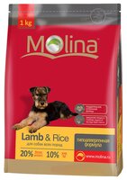 Корм для собак Molina Adult Lamb & Rice All Breed (1 кг)