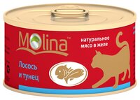 Корм для кошек Molina Консервы для кошек Лосось и тунец (0.08 кг) 1 шт.