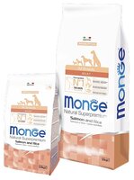 Корм для собак Monge (2.5 кг) Speciality Line – Лосось с рисом. Монобелковый рацион для собак