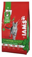 Корм для кошек Iams ProActive Health Adult Flavoured With Turkey (1 кг)