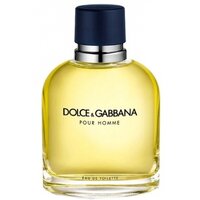 Dolce & Gabbana Мужской D&G Pour Homme Туалетная вода (edt) 75мл