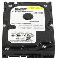 Жесткий диск Western Digital WD Blue 160 GB (WD1600AABS)