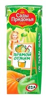 Сок с мякотью Сады Придонья Тыква-яблоко 0.2 л