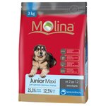 Корм для собак Molina Junior Maxi (3 кг) - изображение