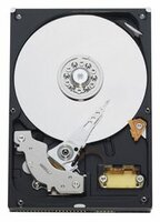 Жесткий диск Western Digital WD Blue 250 GB (WD2500AAJB)