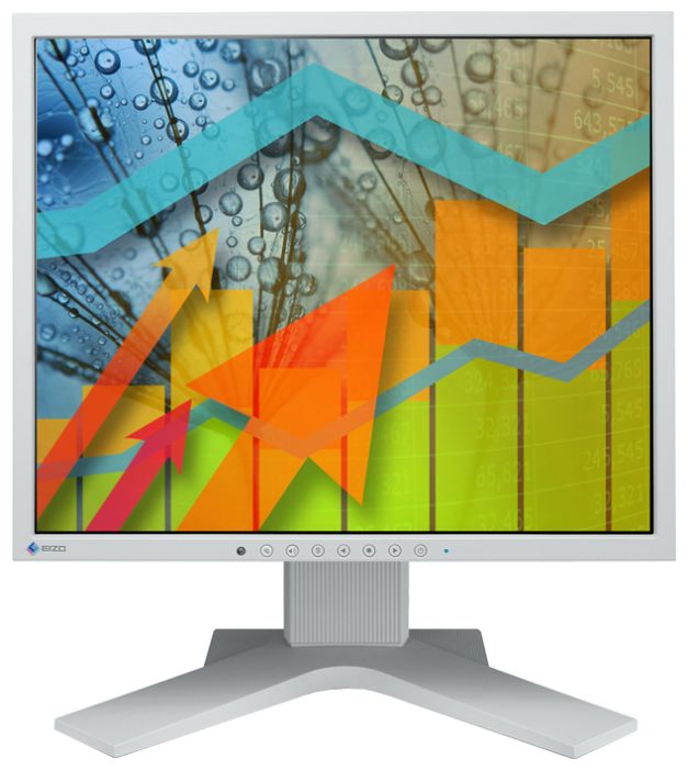 Monitor Eizo Flexscan S1721 X 17 Kupit Po Vygodnoj Cene Na Yandeks Markete