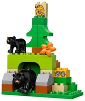 Конструктор LEGO Duplo 10584 Лесной заповедник